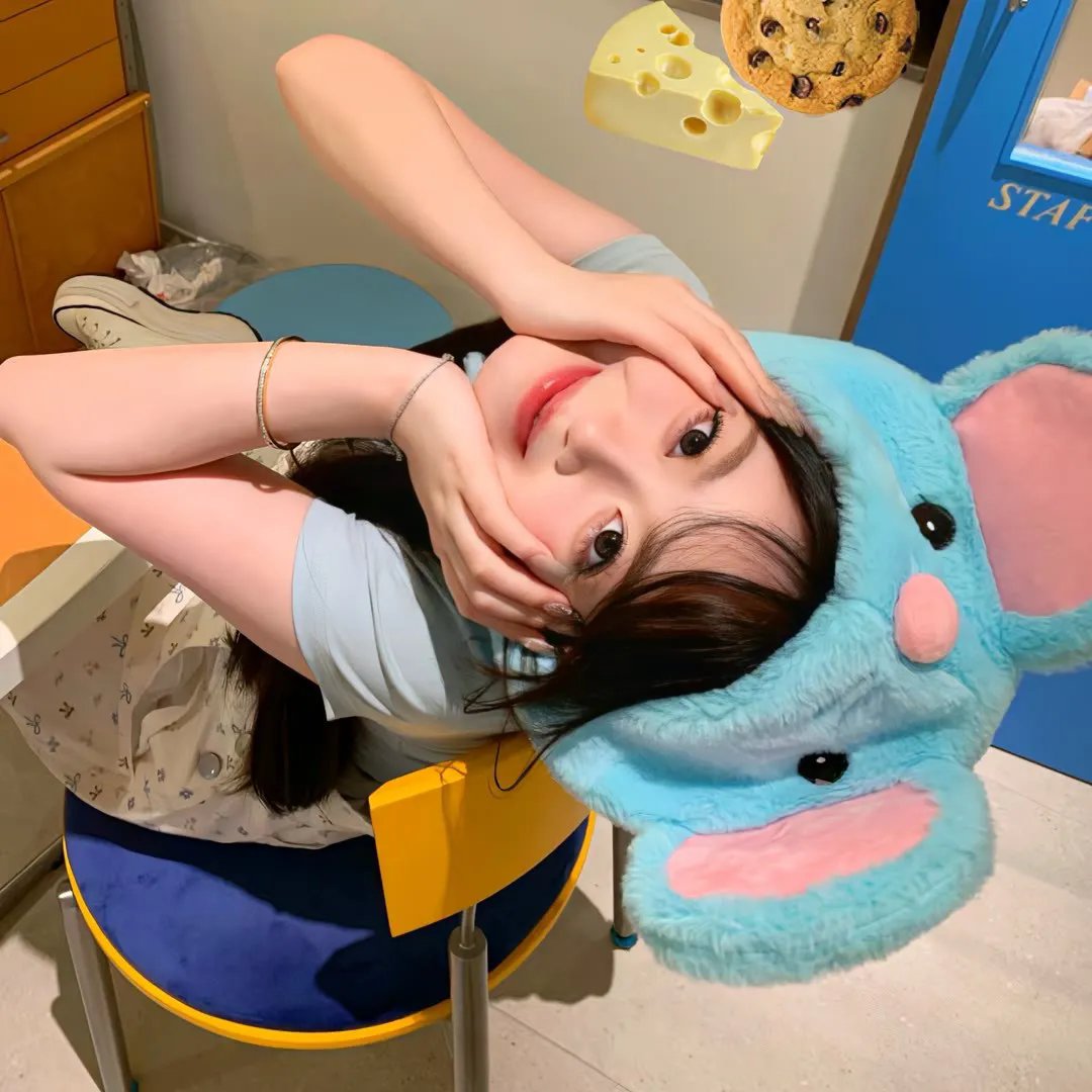 猎豹